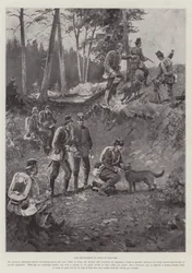 Der Einsatz von Hunden im Krieg